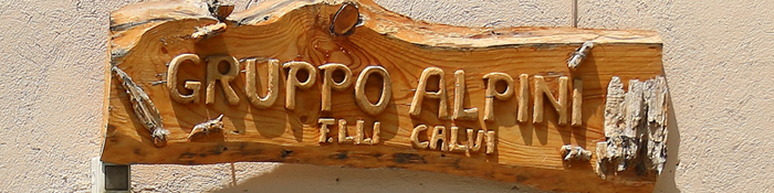 GRUPPO ALPINI PIAZZA BREMBANA.